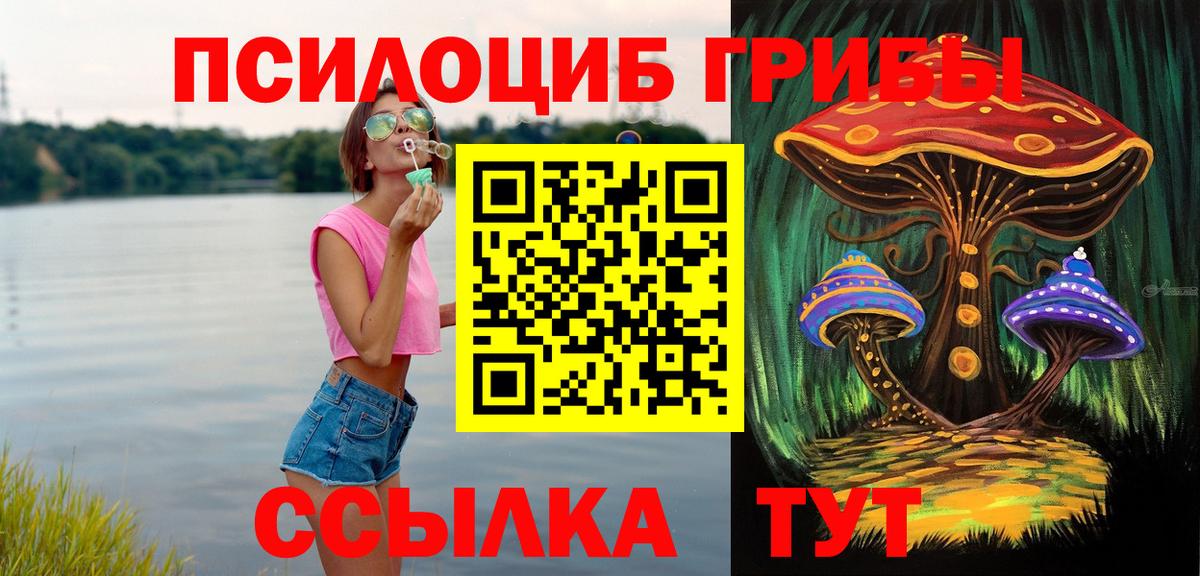 Сызрань  Псилоцибиновые грибы GOLDEN TEACHER  Вход с VPN 